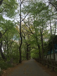 ★ 先のことなんて30秒後だってわかりません。
