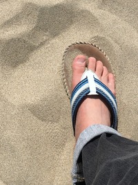 ★ 潮目が変わる。とよく言いますが。