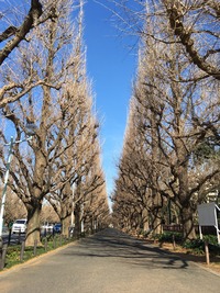 ★その人ならでは。という視点。