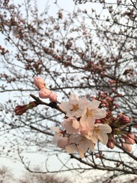 ★ そのタイムラグこそ実は重要です。