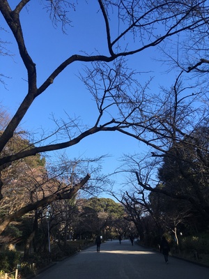 ★ 上野公園をテクテクと。